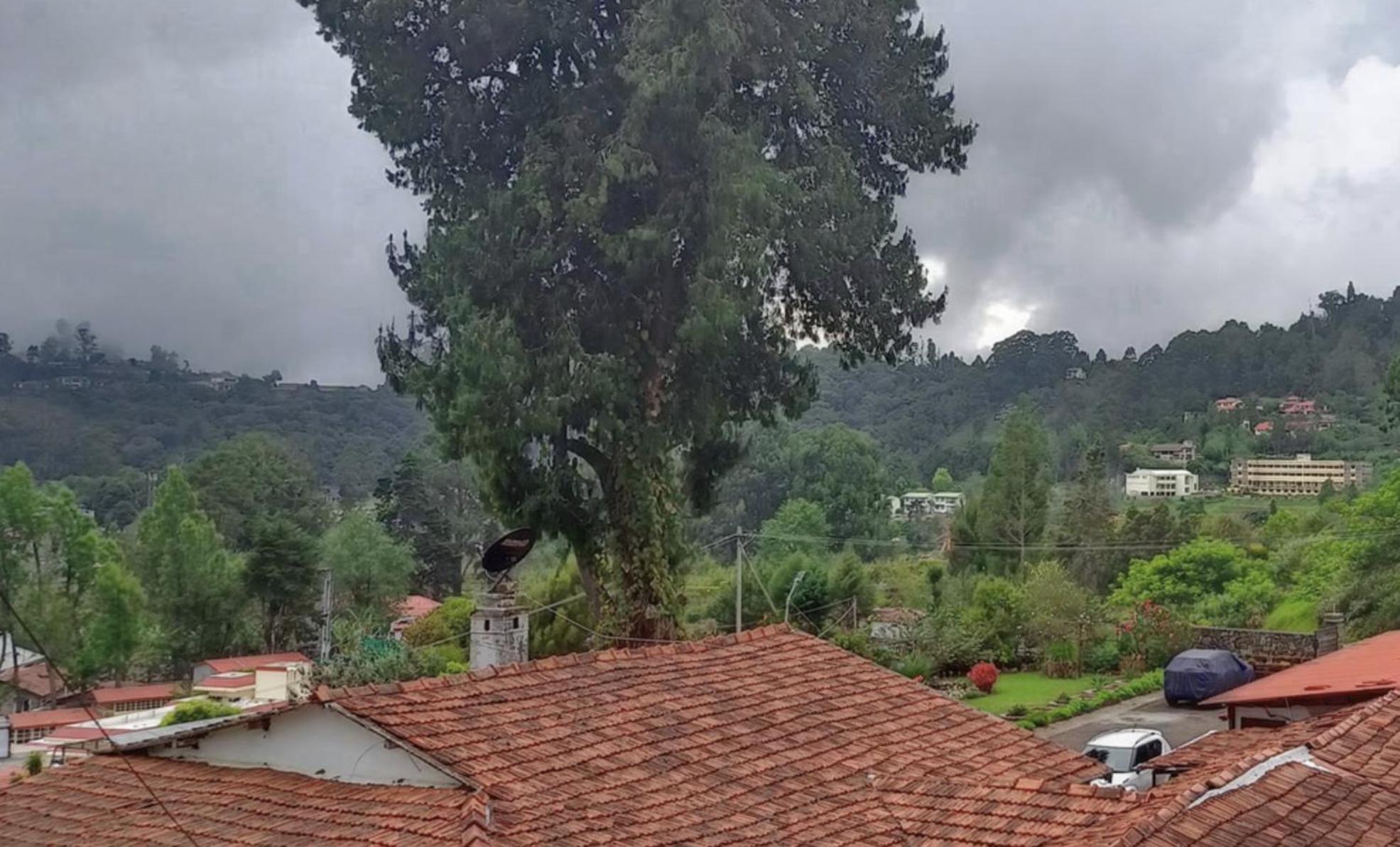 Mountain Retreat Kodai كوديكانال المظهر الخارجي الصورة